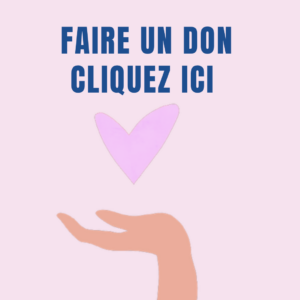 Bouton Faire un don : cliquez ici pour soutenir l'organisme L'Envol.