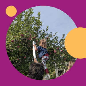 "Familles de L'Envol participant à une sortie de cueillette de pommes au verger"