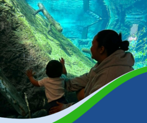 Une mère et son enfant participent à une activité de découverte au Biodôme.