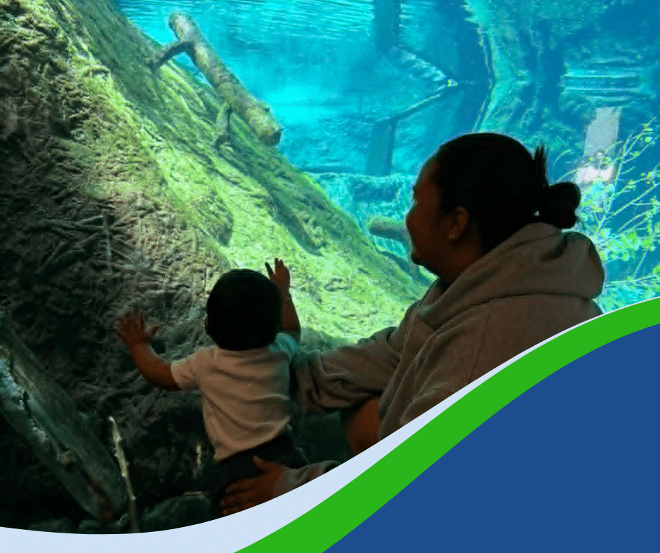 Une mère et son enfant participent à une activité de découverte au Biodôme.